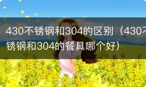 430不锈钢和304的区别（430不锈钢和304的餐具哪个好）