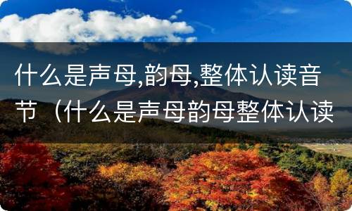 什么是声母,韵母,整体认读音节（什么是声母韵母整体认读音节）