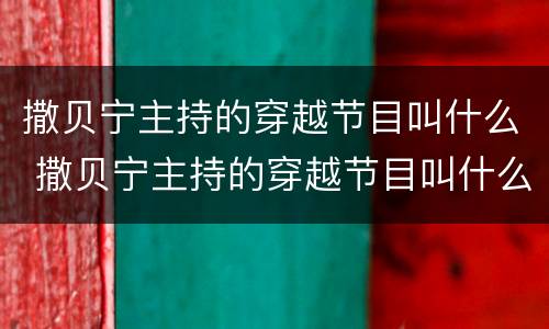 撒贝宁主持的穿越节目叫什么 撒贝宁主持的穿越节目叫什么名字来着