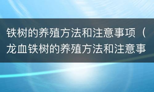 铁树的养殖方法和注意事项（龙血铁树的养殖方法和注意事项）