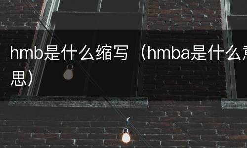 hmb是什么缩写（hmba是什么意思）