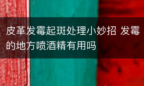 皮革发霉起斑处理小妙招 发霉的地方喷酒精有用吗