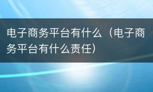 电子商务平台有什么（电子商务平台有什么责任）