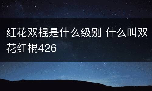 红花双棍是什么级别 什么叫双花红棍426