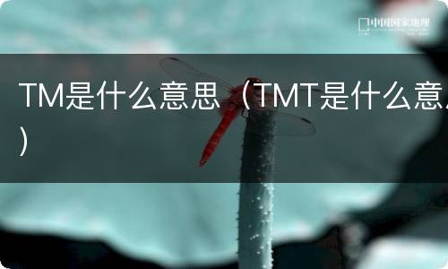 TM是什么意思（TMT是什么意思）