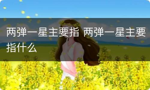 两弹一星主要指 两弹一星主要指什么