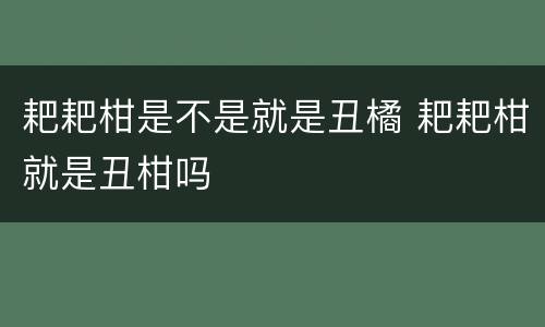 耙耙柑是不是就是丑橘 耙耙柑就是丑柑吗