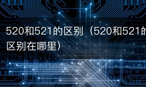 520和521的区别（520和521的区别在哪里）