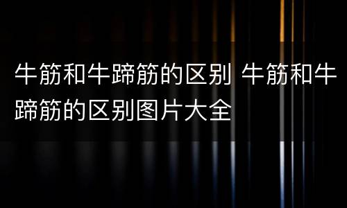 牛筋和牛蹄筋的区别 牛筋和牛蹄筋的区别图片大全