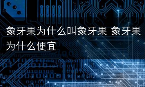 象牙果为什么叫象牙果 象牙果为什么便宜