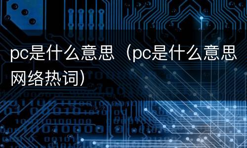 pc是什么意思（pc是什么意思网络热词）