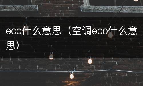 eco什么意思（空调eco什么意思）