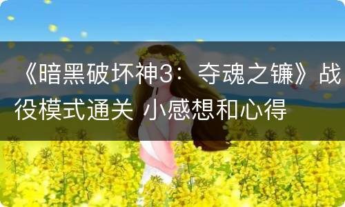 《暗黑破坏神3：夺魂之镰》战役模式通关 小感想和心得