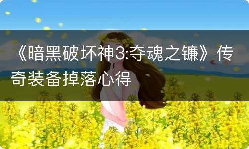 《暗黑破坏神3:夺魂之镰》传奇装备掉落心得