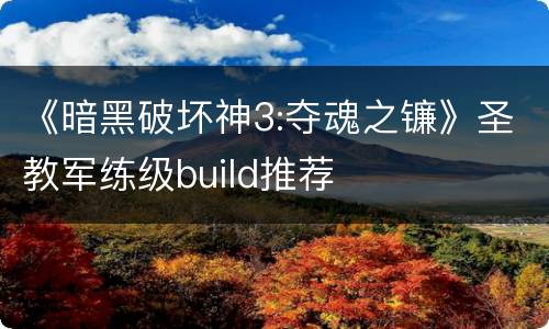 《暗黑破坏神3:夺魂之镰》圣教军练级build推荐