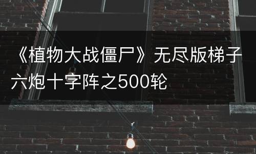 《植物大战僵尸》无尽版梯子六炮十字阵之500轮