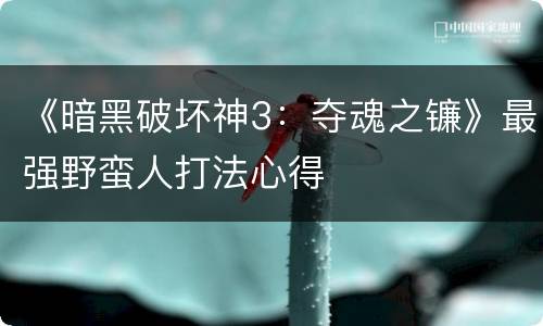 《暗黑破坏神3：夺魂之镰》最强野蛮人打法心得