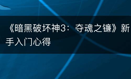 《暗黑破坏神3：夺魂之镰》新手入门心得