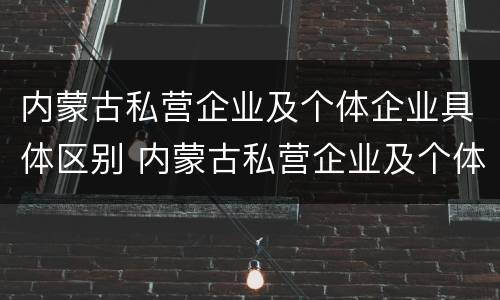 内蒙古私营企业及个体企业具体区别 内蒙古私营企业及个体企业具体区别