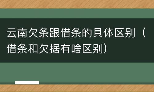 云南欠条跟借条的具体区别（借条和欠据有啥区别）