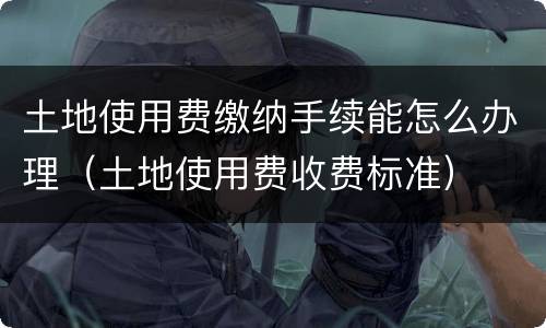 土地使用费缴纳手续能怎么办理（土地使用费收费标准）