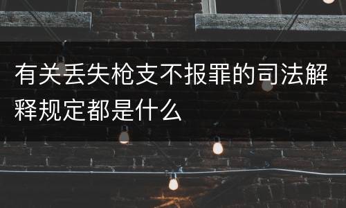 有关丢失枪支不报罪的司法解释规定都是什么