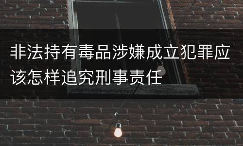 非法持有毒品涉嫌成立犯罪应该怎样追究刑事责任