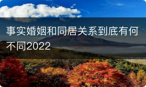 事实婚姻和同居关系到底有何不同2022