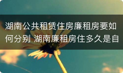 湖南公共租赁住房廉租房要如何分别 湖南廉租房住多久是自己的