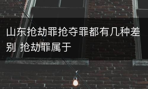 山东抢劫罪抢夺罪都有几种差别 抢劫罪属于