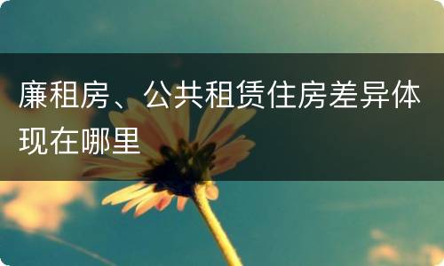 廉租房、公共租赁住房差异体现在哪里