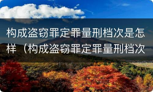 构成盗窃罪定罪量刑档次是怎样（构成盗窃罪定罪量刑档次是怎样定的）