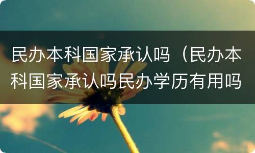 民办本科国家承认吗（民办本科国家承认吗民办学历有用吗）