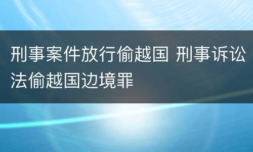 刑事案件放行偷越国 刑事诉讼法偷越国边境罪