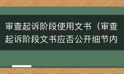 审查起诉阶段使用文书（审查起诉阶段文书应否公开细节内容）