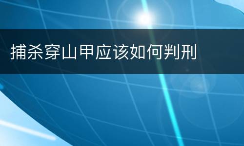 捕杀穿山甲应该如何判刑