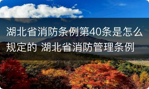 湖北省消防条例第40条是怎么规定的 湖北省消防管理条例