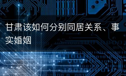 甘肃该如何分别同居关系、事实婚姻