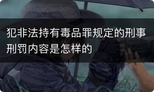 犯非法持有毒品罪规定的刑事刑罚内容是怎样的