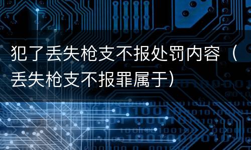 犯了丢失枪支不报处罚内容（丢失枪支不报罪属于）