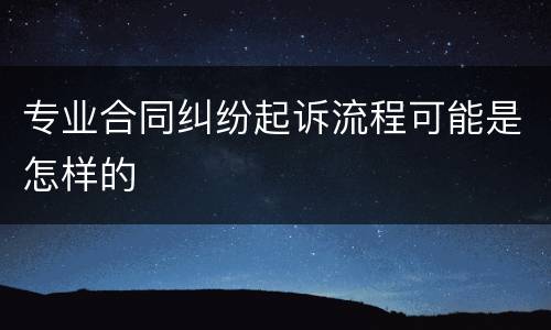 专业合同纠纷起诉流程可能是怎样的