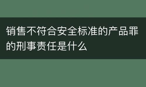 销售不符合安全标准的产品罪的刑事责任是什么