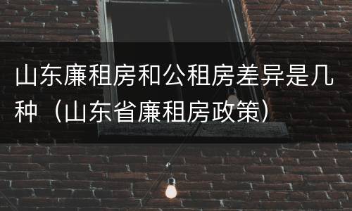 山东廉租房和公租房差异是几种（山东省廉租房政策）