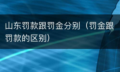 山东罚款跟罚金分别（罚金跟罚款的区别）