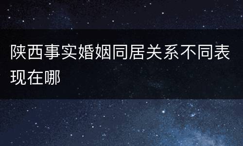 陕西事实婚姻同居关系不同表现在哪