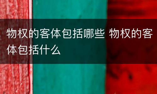 物权的客体包括哪些 物权的客体包括什么