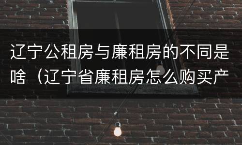 辽宁公租房与廉租房的不同是啥（辽宁省廉租房怎么购买产权）