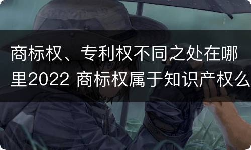 商标权、专利权不同之处在哪里2022 商标权属于知识产权么