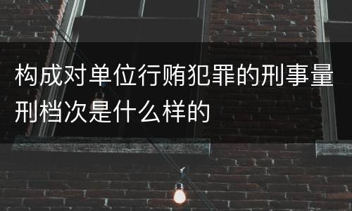 构成对单位行贿犯罪的刑事量刑档次是什么样的