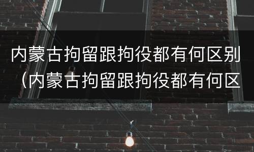 内蒙古拘留跟拘役都有何区别（内蒙古拘留跟拘役都有何区别呢）